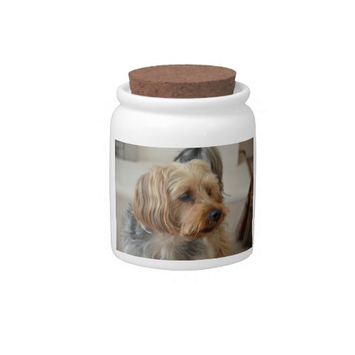 Yorkshire Terrier Zac Candy Jar