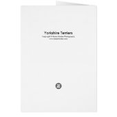 Yorkshire Terriers (Back)