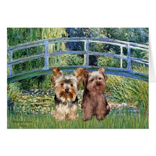 Yorkshire Terriers (17-18) - Bridge Cards (Front Horizontal)