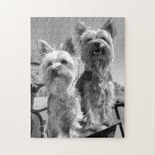 Yorkshire Terriers Black and White Jigsaw Puzzle