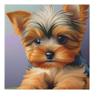 Yorkshire Terriers, or “Yorkies” as They are Affec Faux Canvas Print