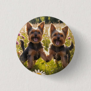 Yorkshire Terriers Playing in the Grass Button