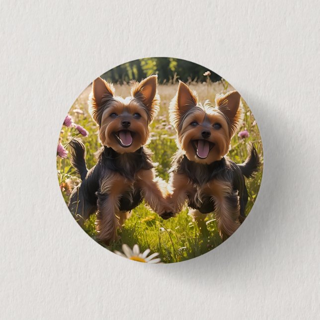 Yorkshire Terriers Playing in the Grass Button (Front)