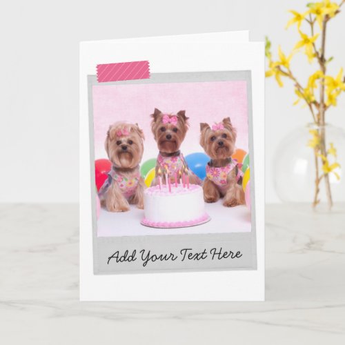 Yorkshire Terriers Yorkies Birthday Cake Funny Card
