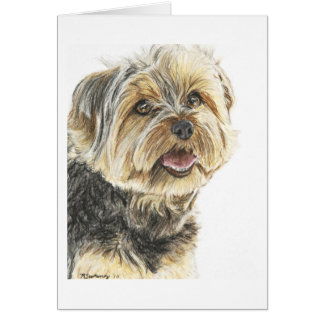 YorkshireTerrier.jpg Cards