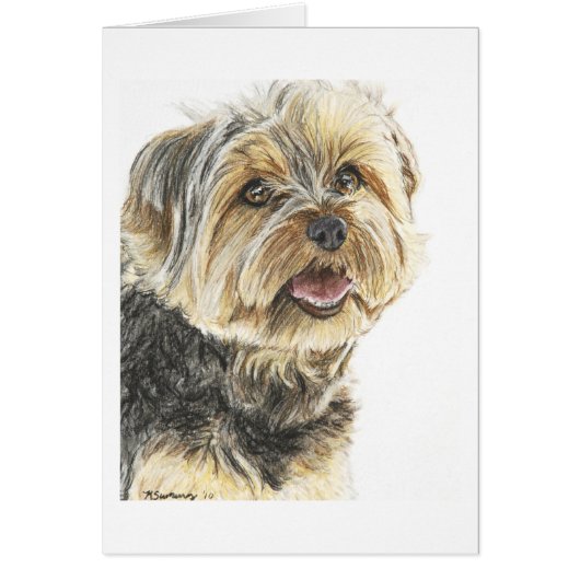 YorkshireTerrier.jpg Cards (Front)