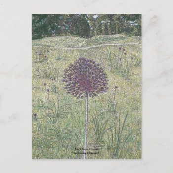 Yorktown Onion Postcard by Eclectic_Ramblings at Zazzle