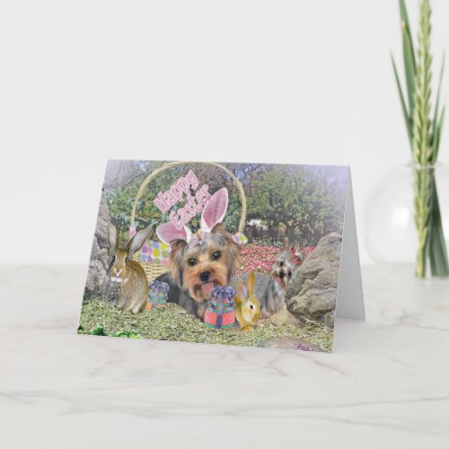 Yorshire Terrier Easter Cards