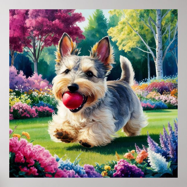 Yorshire Terrier Puppy Playing in the Park Poster (Front)