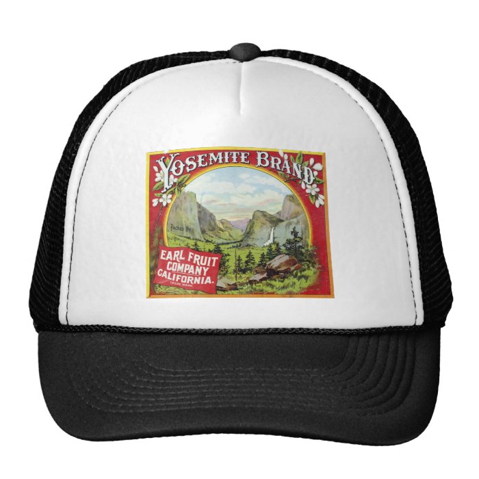 Yosemite Brand Mesh Hat