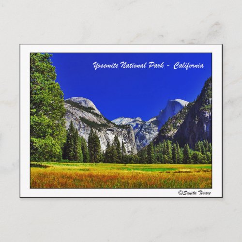 Yosemite California Postcard