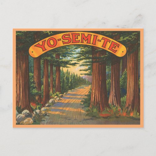 Yosemite California vintage scene Postcard