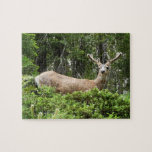 Yosemite Deer Nature Animal Photography Jigsaw Puzzle