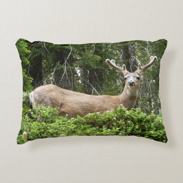 Yosemite Deer Nature Photography Accent Pillow (Front)