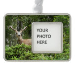 Yosemite Deer Nature Photography Christmas Ornament