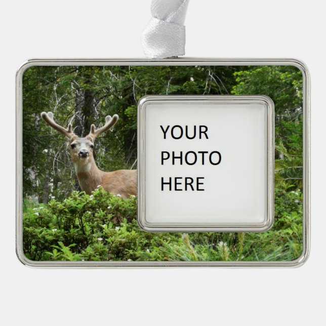 Yosemite Deer Nature Photography Christmas Ornament (Front)