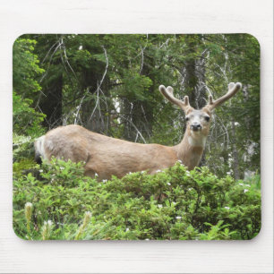 Yosemite Deer Nature Photography Mouse Pad