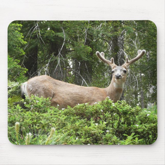 Yosemite Deer Nature Photography Mouse Pad (Front)