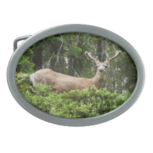 Yosemite Deer Nature Photography Oval Belt Buckle