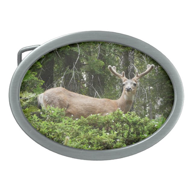 Yosemite Deer Nature Photography Oval Belt Buckle (Front)