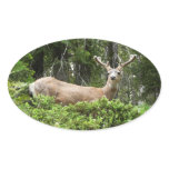 Yosemite Deer Nature Photography Oval Sticker