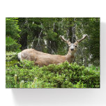 Yosemite Deer Nature Photography Paperweight