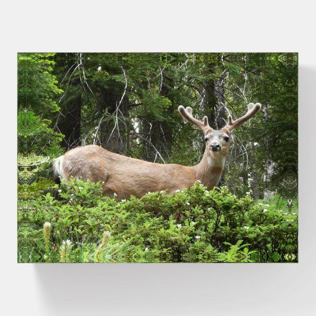 Yosemite Deer Nature Photography Paperweight (Front)