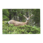 Yosemite Deer Nature Photography Placemat