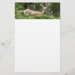 Yosemite Deer Nature Photography Stationery