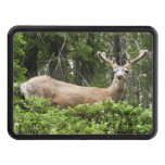 Yosemite Deer Nature Photography Tow Hitch Cover