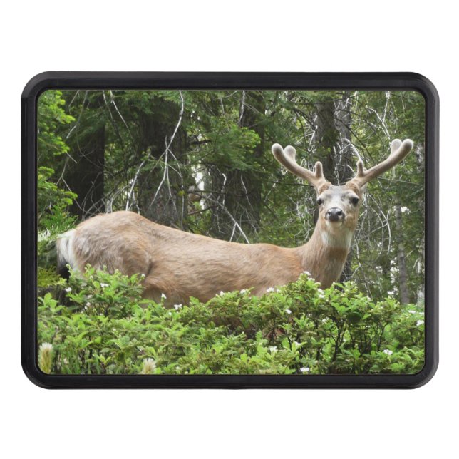 Yosemite Deer Nature Photography Tow Hitch Cover (Front)