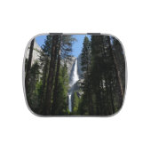 Yosemite Falls and Woods Landscape Photography Candy Tin (Top)