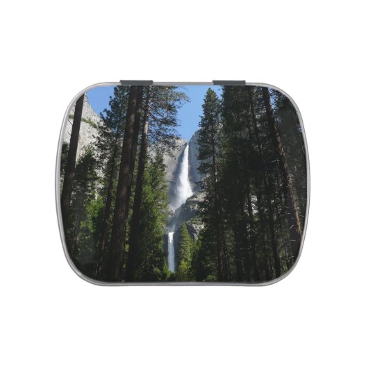 Yosemite Falls and Woods Landscape Photography Candy Tin (Top)