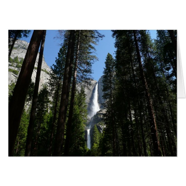 Yosemite Falls and Woods Landscape Photography Card (Front Horizontal)