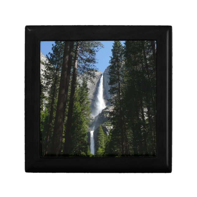 Yosemite Falls and Woods Landscape Photography Gift Box (Front)