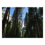 Yosemite Falls and Woods Landscape Photography Photo Print