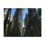 Yosemite Falls and Woods Landscape Photography Postcard