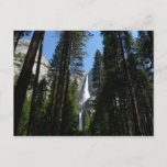 Yosemite Falls and Woods Landscape Photography Postcard