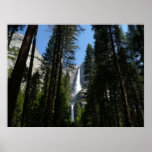 Yosemite Falls and Woods Landscape Photography Poster