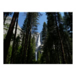 Yosemite Falls and Woods Landscape Photography Poster