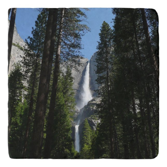 Yosemite Falls and Woods Landscape Photography Trivet (Front)