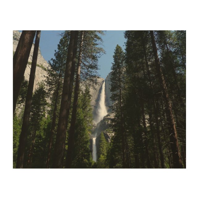 Yosemite Falls and Woods Landscape Photography Wood Wall Art (Front)