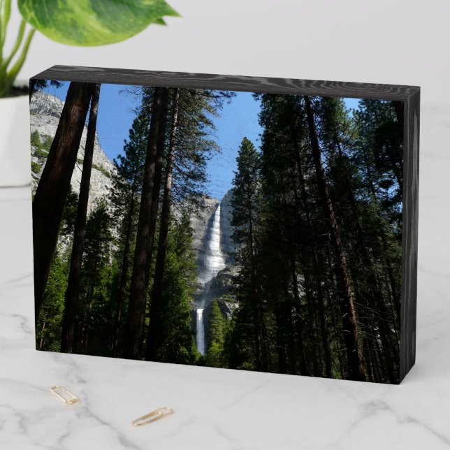 Yosemite Falls and Woods Landscape Photography Wooden Box Sign (In Situ Horizontal)