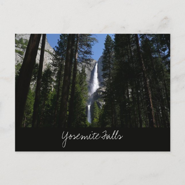 Yosemite Falls and Woods Postcard (Front)
