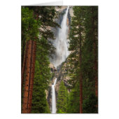 Yosemite Falls, California (Front)