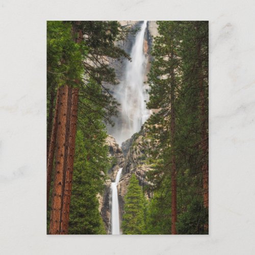 Yosemite Falls California Postcard
