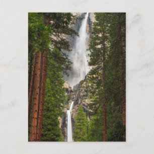 Yosemite Falls, California Postcard
