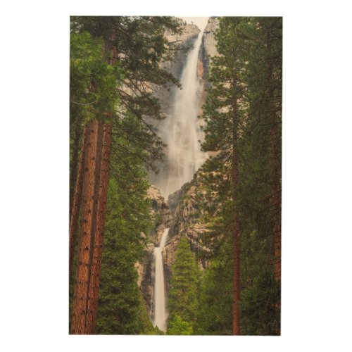 Yosemite Falls California Wood Wall Art