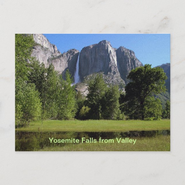 Yosemite Falls from Valley in California Postcard (Front)