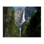 Yosemite Falls II from Yosemite National Park Acrylic Print